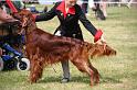 Mantafield Red Devil For Saffronlyn